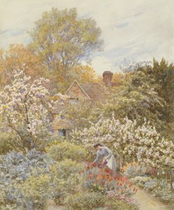 Um jardim na primavera (wc no papel)